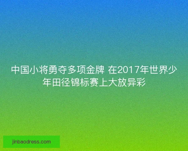 中国小将勇夺多项金牌 在2017年世界少年田径锦标赛上大放异彩